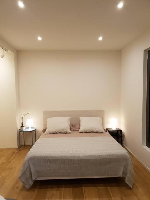 Experience The Loft! Loft 18, Downtown, Near The Lake Free Parking Available Lugano Kültér fotó